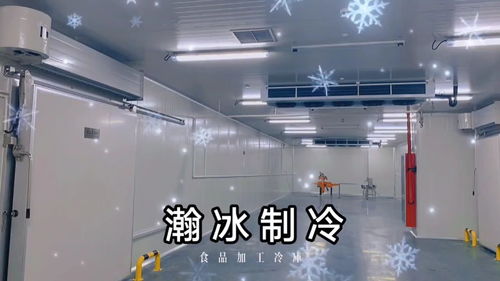上海瀚冰制冷食品加工冷庫 速凍冷凍保鮮中高溫操作間 工程
