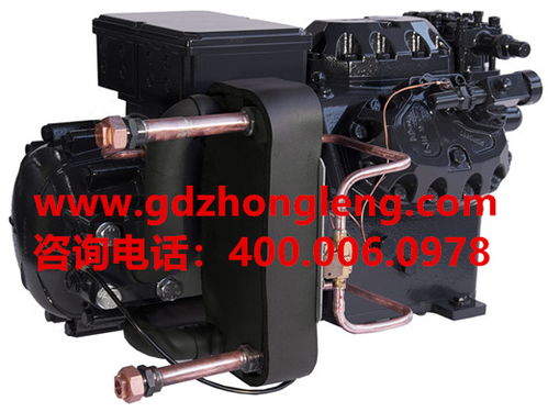 匹冷庫壓縮機(jī)報(bào)價(jià) 廠家